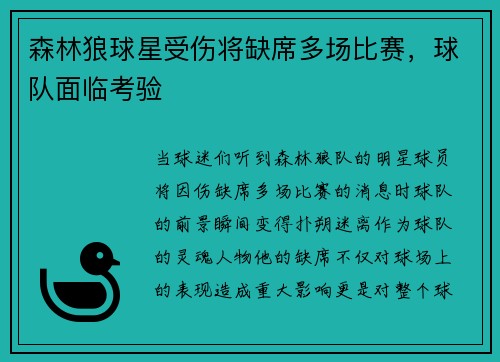 森林狼球星受伤将缺席多场比赛，球队面临考验